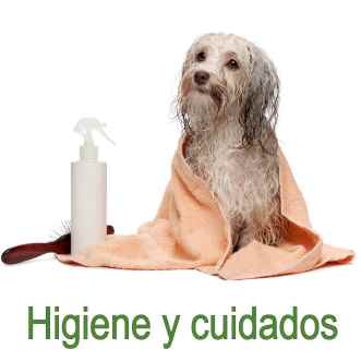 Higiene y Cuidados Perros